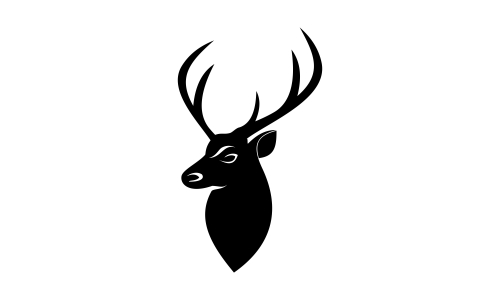 Deer head creative design logo vector. Deer illustration