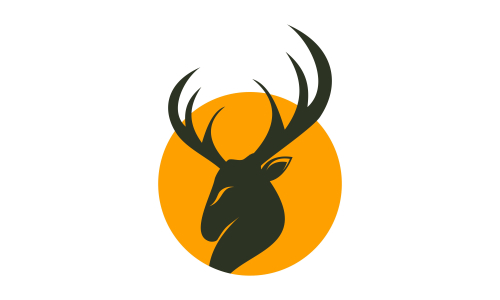 Deer head creative design logo vector. Deer illustration