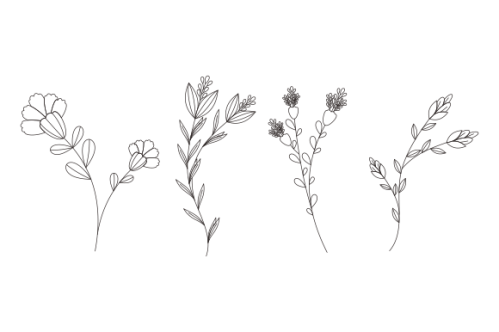 Hand drawn flower collection vector